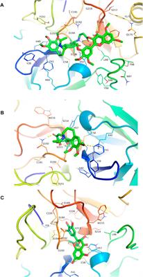 A novel colchicine-myricetin heterozygous molecule: design, synthesis, and effective evaluations on the pathological models of acute lung injury in vitro and in vivo